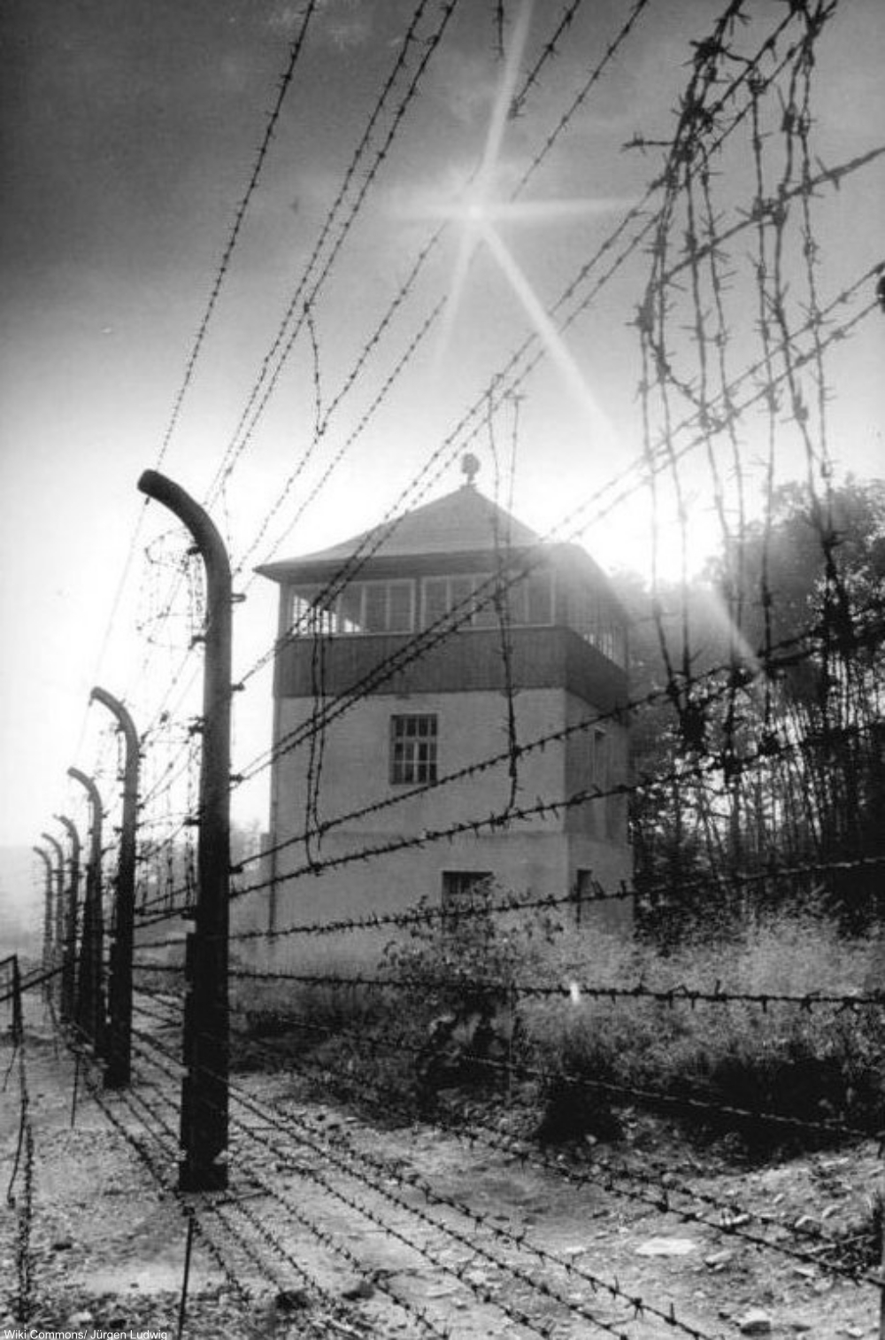 The Hogan's Heroes Actor Who Survived Not One But Two Concentration Camps