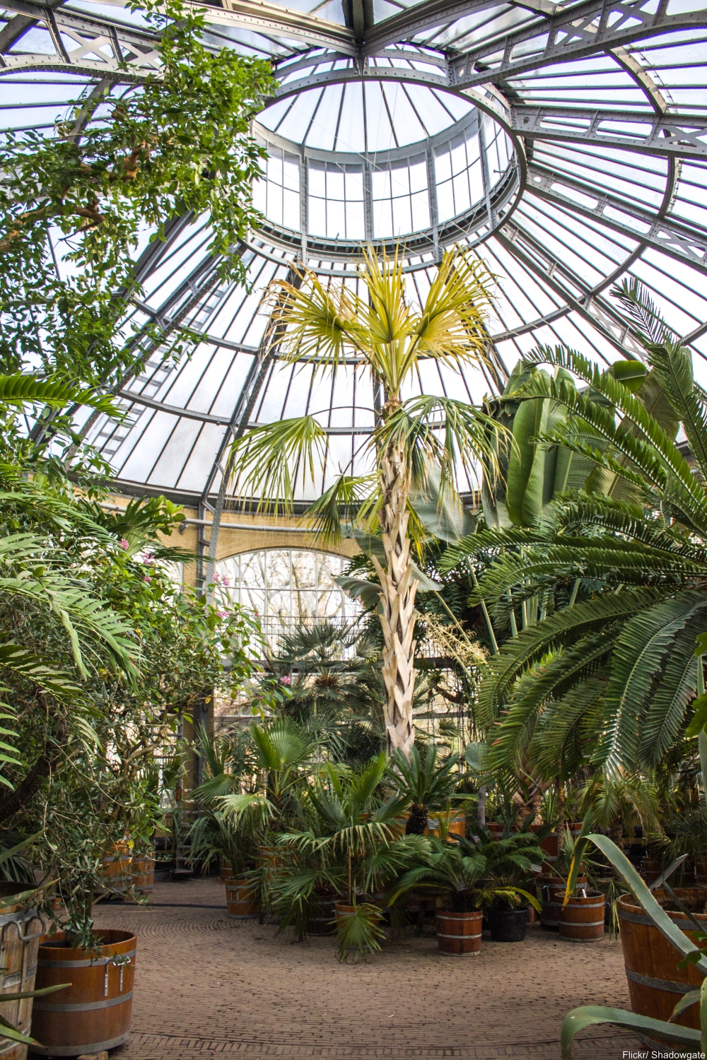 Take a Tour of One of the Most Important Gardens in the World