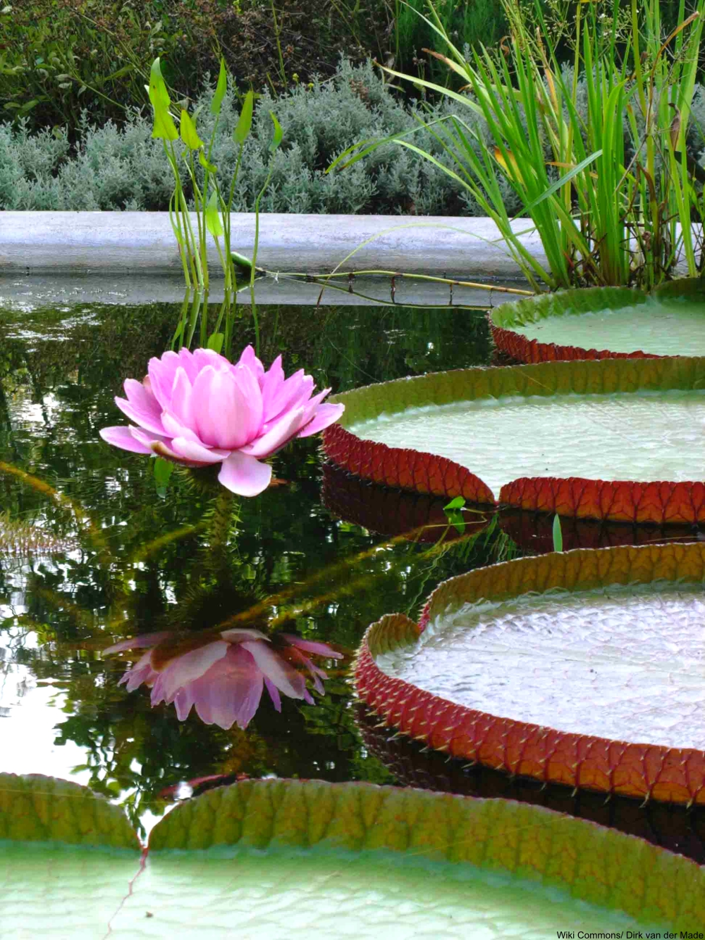 Take a Tour of One of the Most Important Gardens in the World