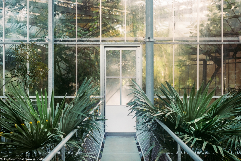 Take a Tour of One of the Most Important Gardens in the World