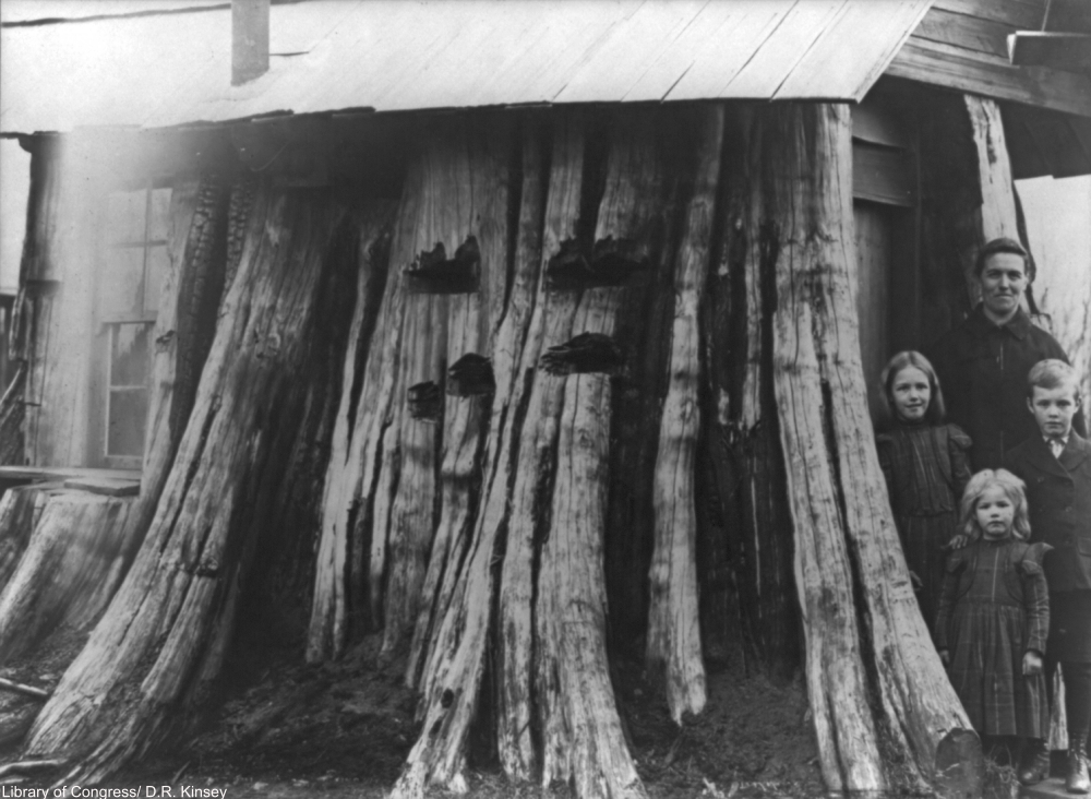 9 Wacky Old Houses We Would Have Loved to Visit!