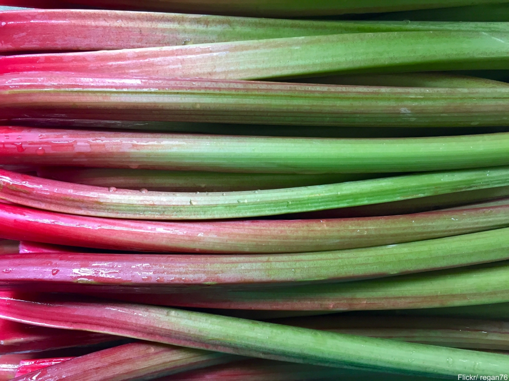 7 Poisonous Foods Humans Cannot Seem to Stop Eating