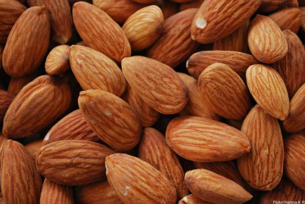 7 Poisonous Foods Humans Cannot Seem to Stop Eating