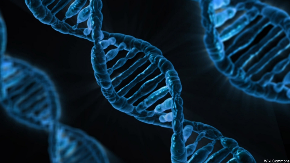 If You Think Music Is in Your Blood Then You Might Be interested in the Music Being Stored in DNA
