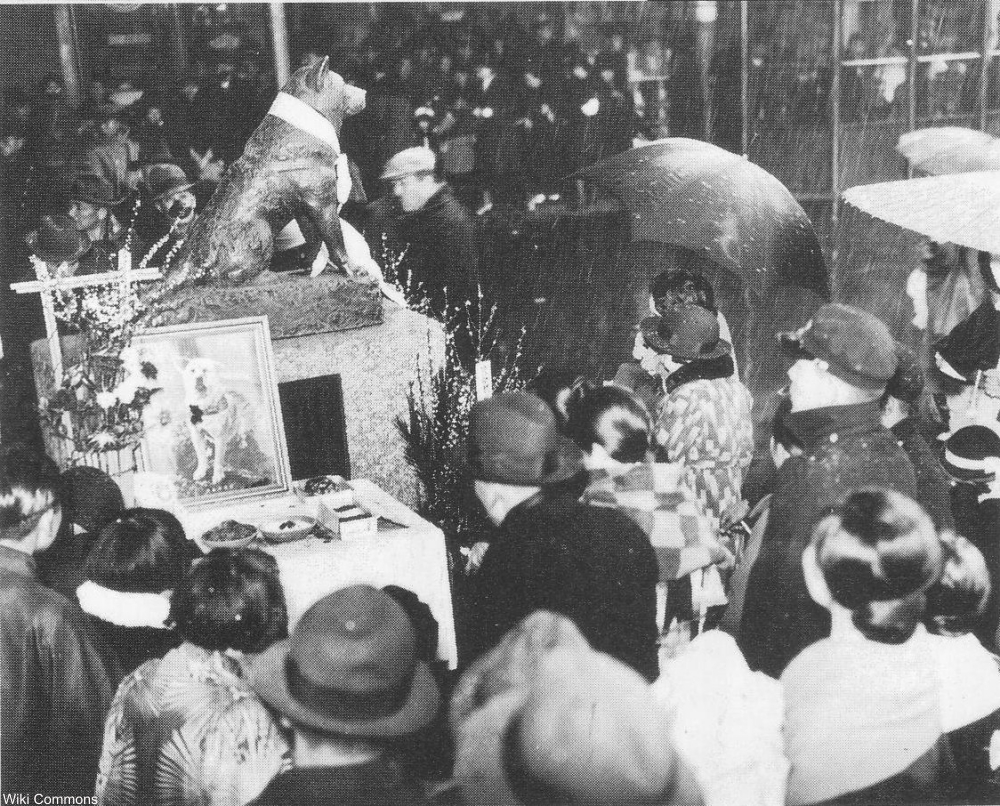 Hachikō, the dog who waited for his owner at a train station for 9 yearsThe Story of Hachikō, the Most Faithful Dog in the World