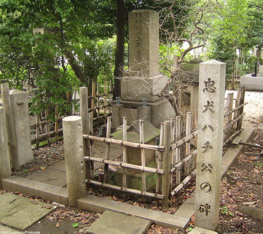 The Story of Hachikō, the Most Faithful Dog in the World