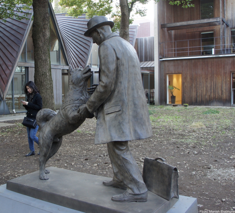 The Story of Hachikō, the Most Faithful Dog in the World