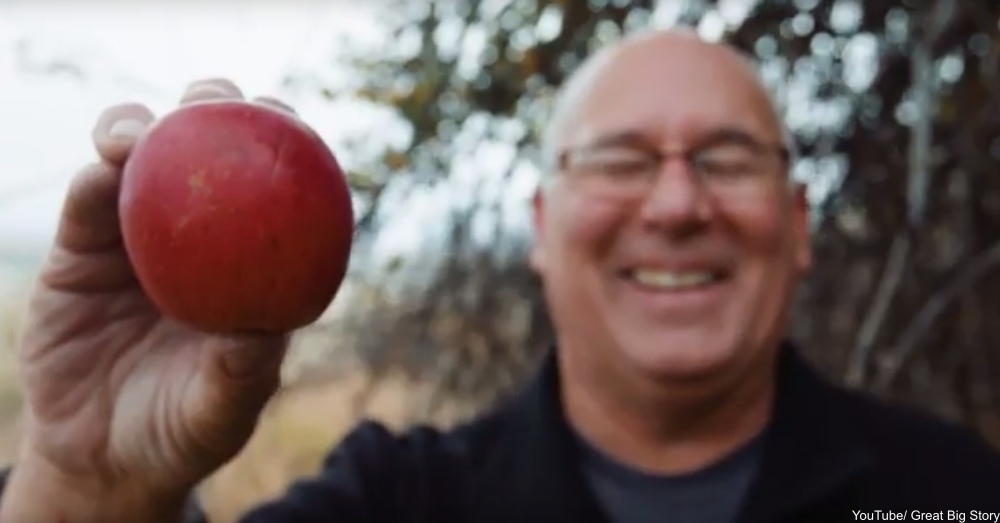 detective seeks lost apple cultivars