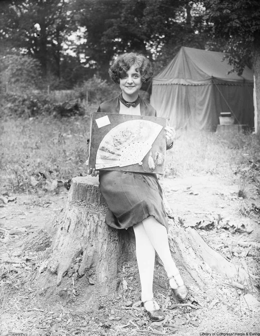 Flapper with fan