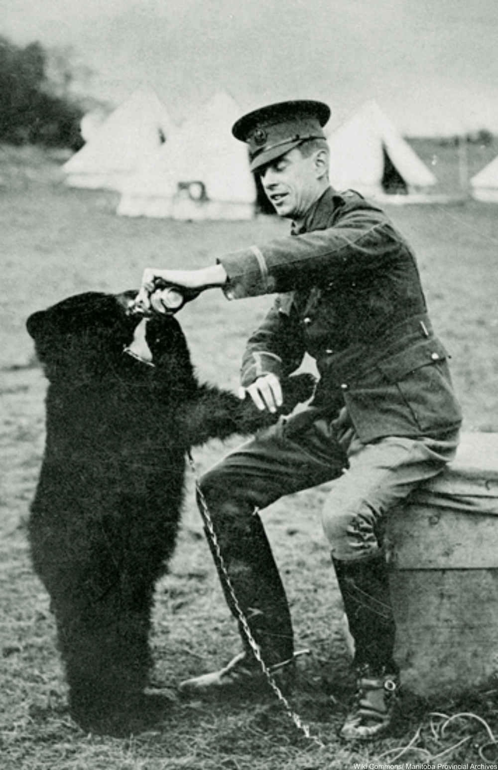 Winnie, the actual bear for which the toy was named