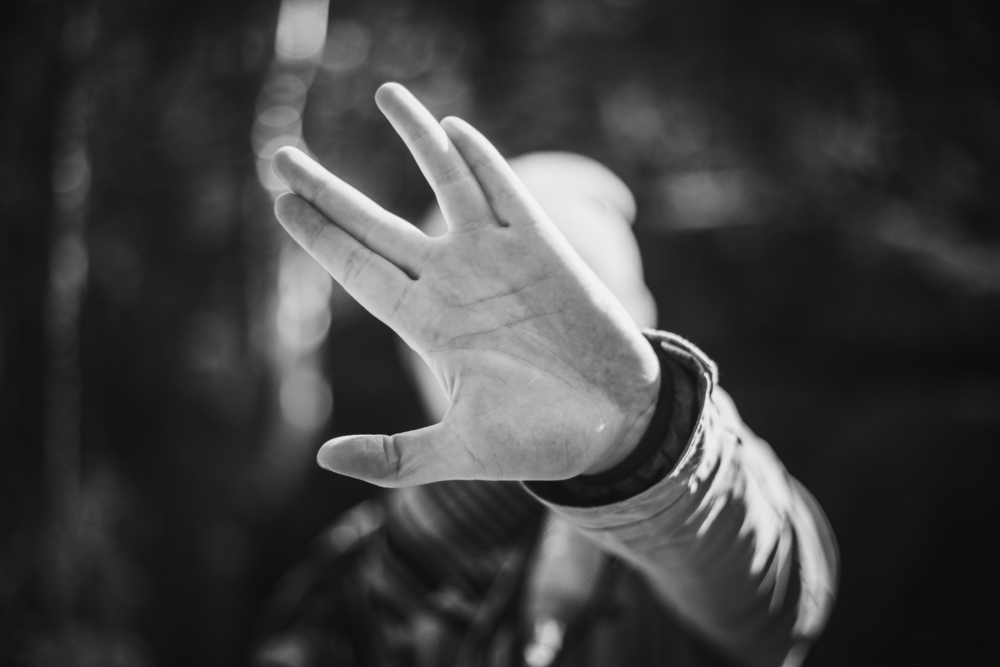 shutterstock_621165197