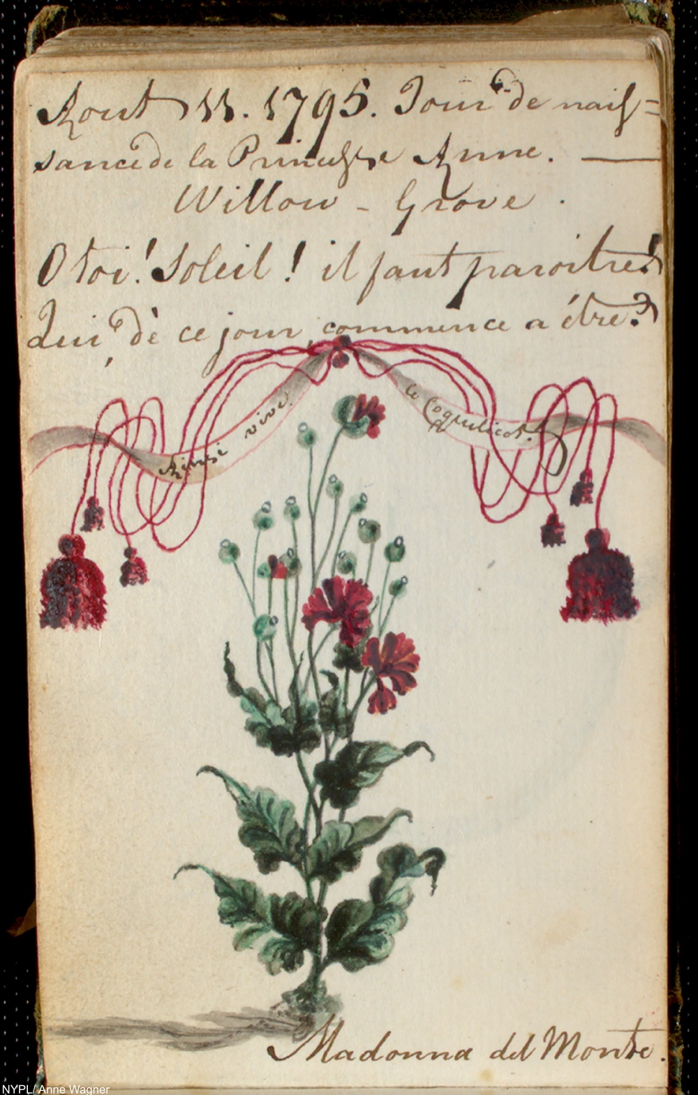 NYPL Digital Collections