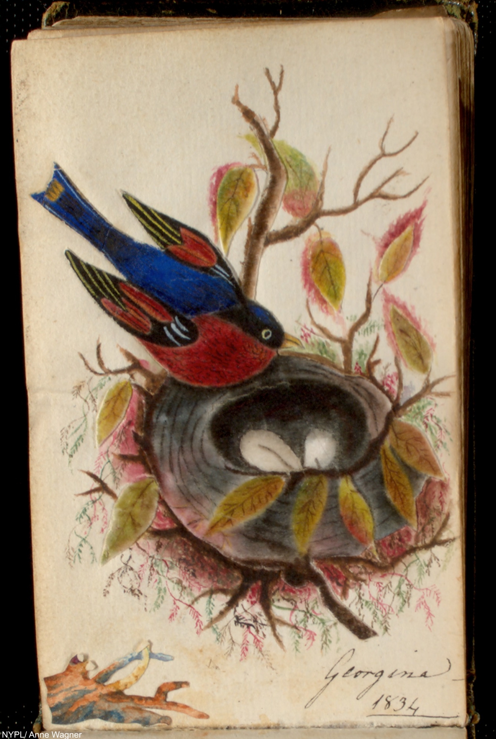 NYPL Digital Collections