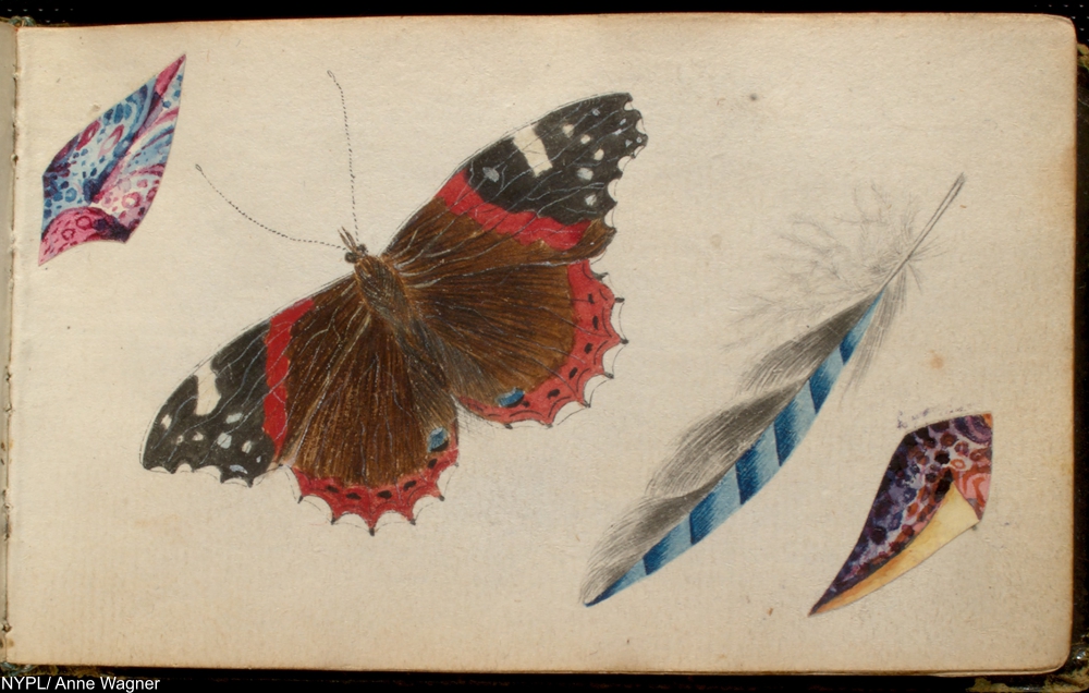 NYPL Digital Collections