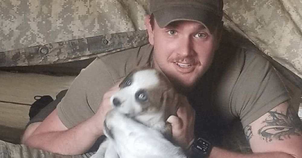 Source: Paws of WarArmy Spc. McEntire and Mimi.