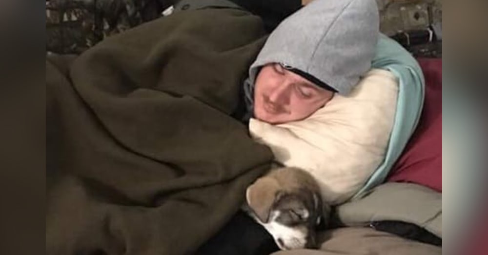 Source: Paws of WarIt will cost at least $6,000 to bring Mimi home.