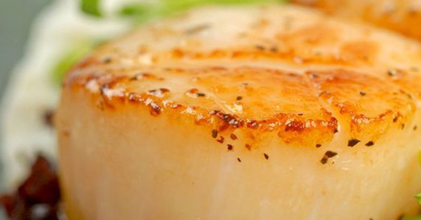 scallops