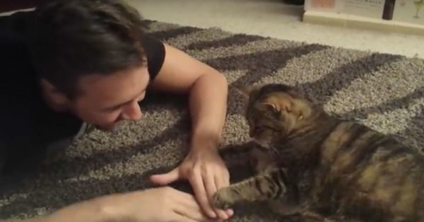 Source: YouTube/BuffyTheCat