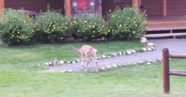 Source: YouTube/YMCA of the Rockies Estes Park Center