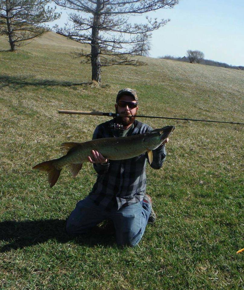 From Josh Randall: One of the muskies I caught last year from shore. One of the biggest too, 41 inches...no weight, was caught and released