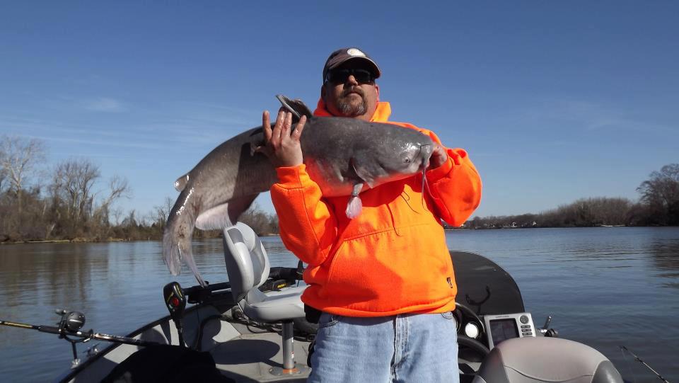 From Jamie W: 40lb cat caught in the James river