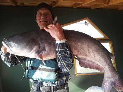 From Joshua Vaughan: my dad Donald Vaughan 62lb blue cat caught in missouri river. Caught on skipjack.