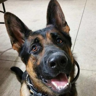 Police K9 Association
