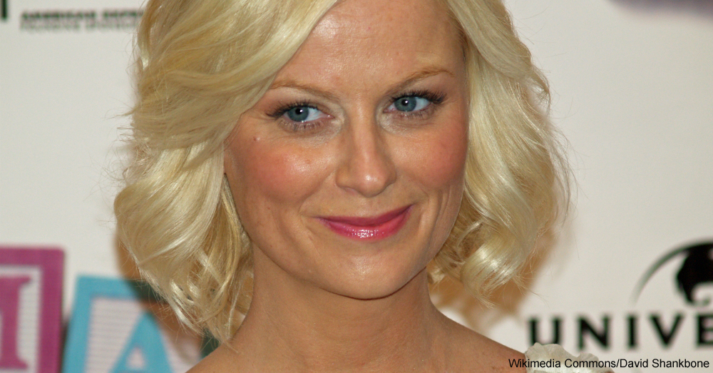 Amy Poehler / Via David Shankbone