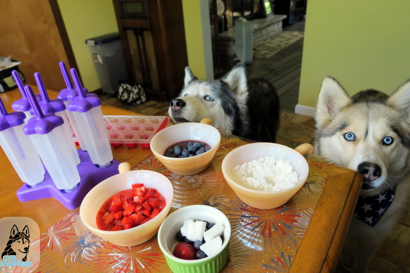 Gone With The Snow Dogs