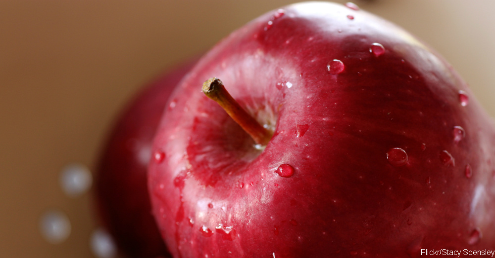 An Apple a Day…These Are the 10 Types of Apples to Know in Your Fruit