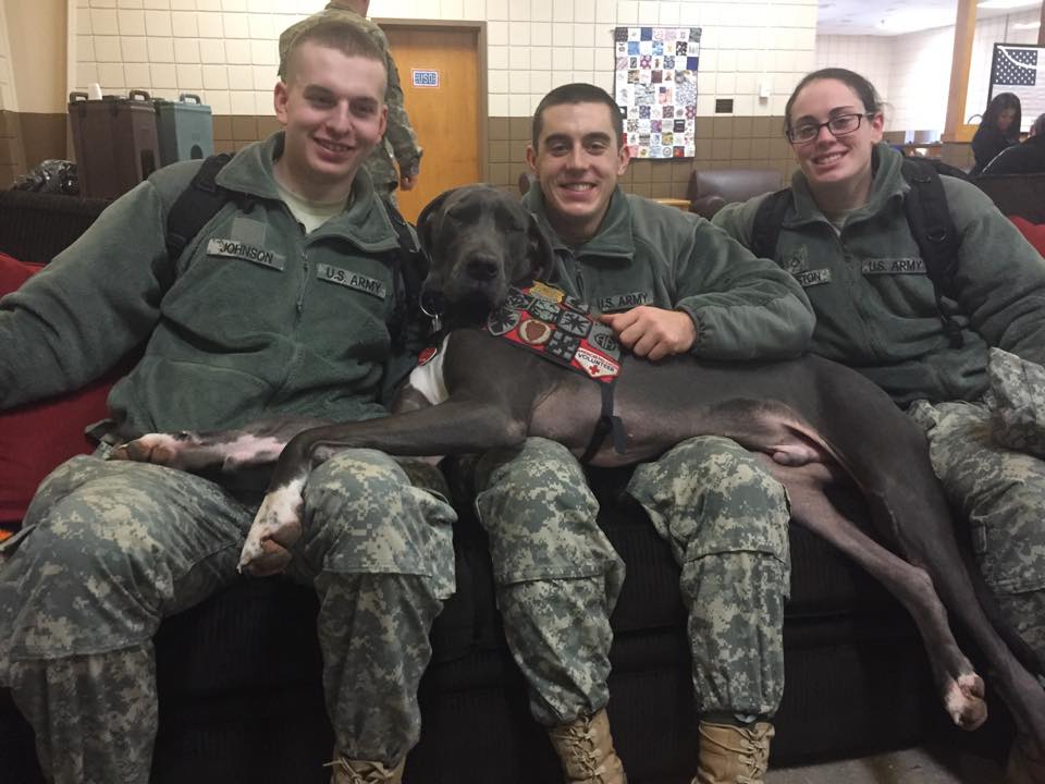 Facebook / Bandit The Therapy Dog