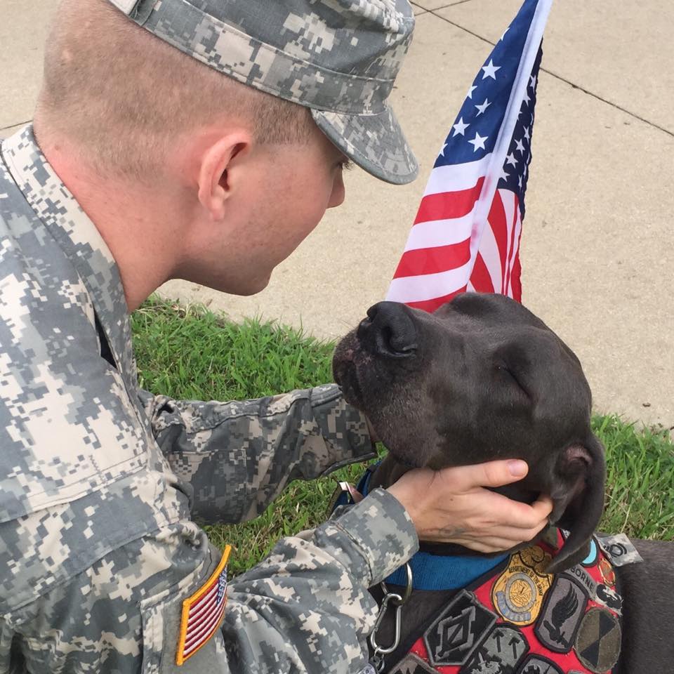Facebook / Bandit The Therapy Dog