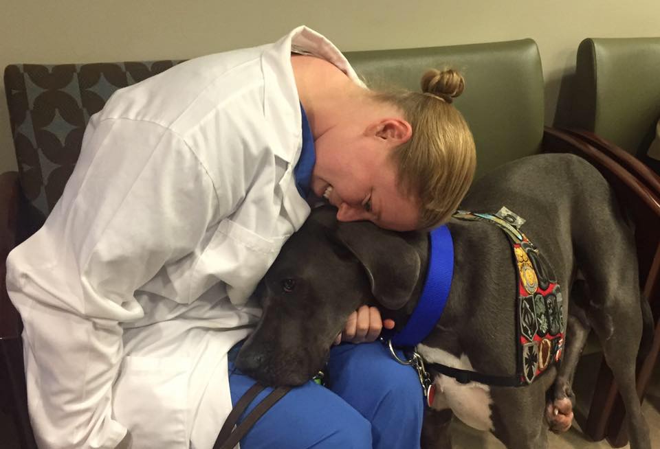 Facebook / Bandit The Therapy Dog
