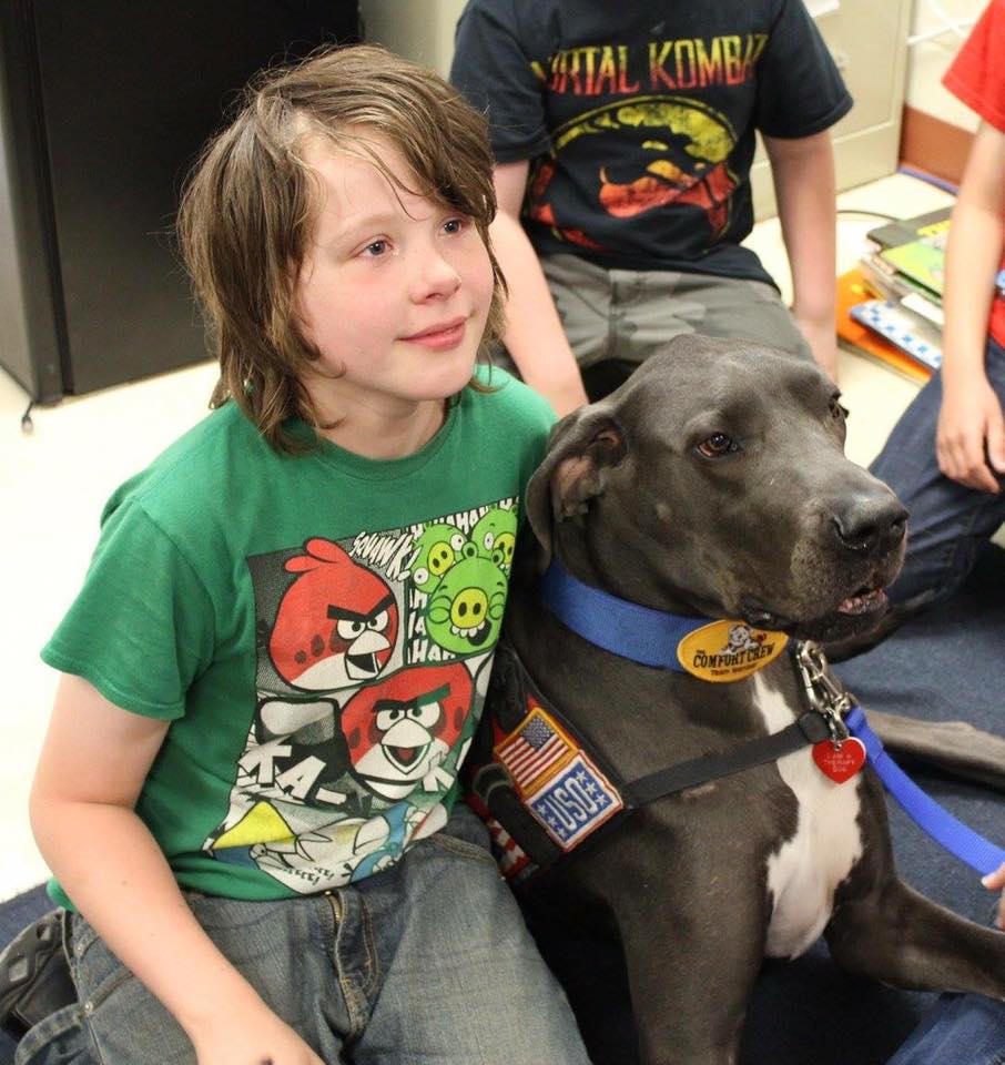 Facebook / Bandit The Therapy Dog