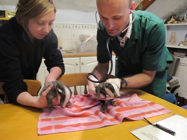 Secret World Wildlife Rescue