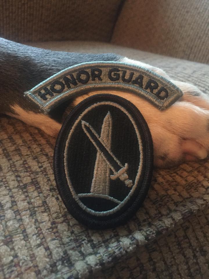 Facebook / Bandit The Therapy Dog