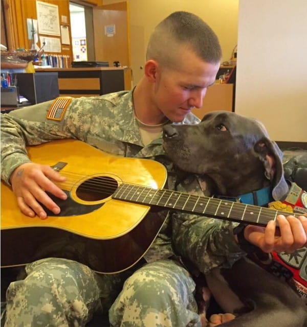 Facebook / Bandit The Therapy Dog