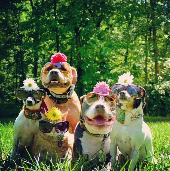 Instagram / 88kncorbett (Kasey Boggs)