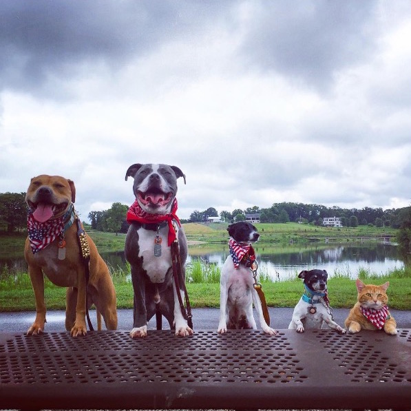 Instagram / 88kncorbett (Kasey Boggs)