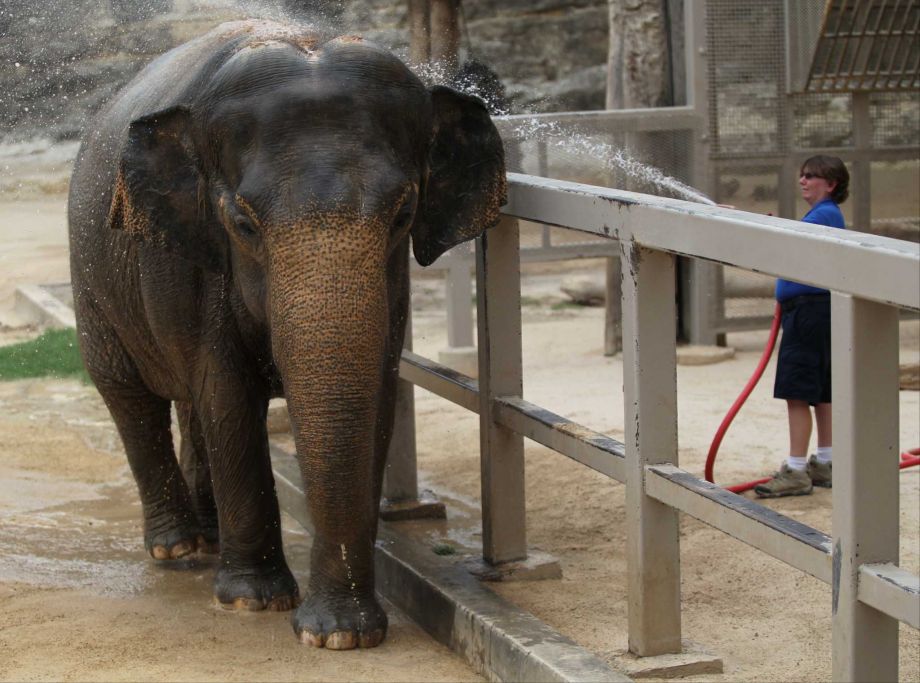 San Antonio Zoo
