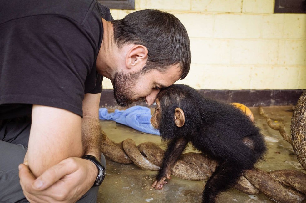 Ape Action Africa