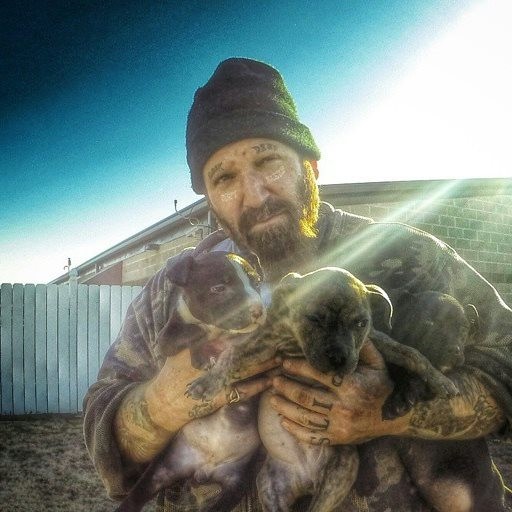 Friends to the Forlorn Pitbull Rescue