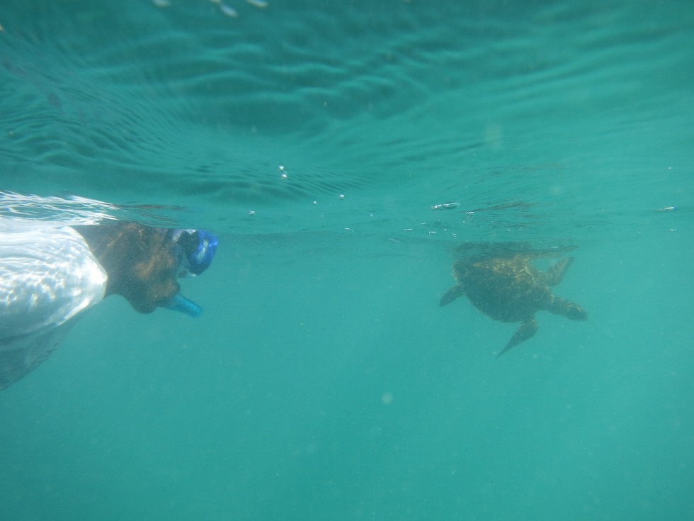 Local Ocean Trust