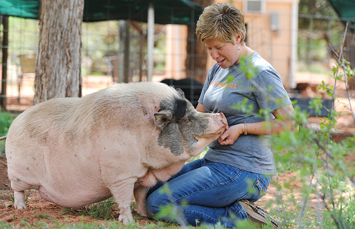 Best Friends Animal Sanctuary