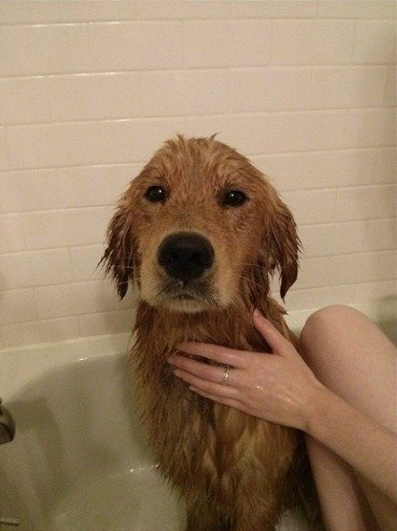 Imgur/itsarave