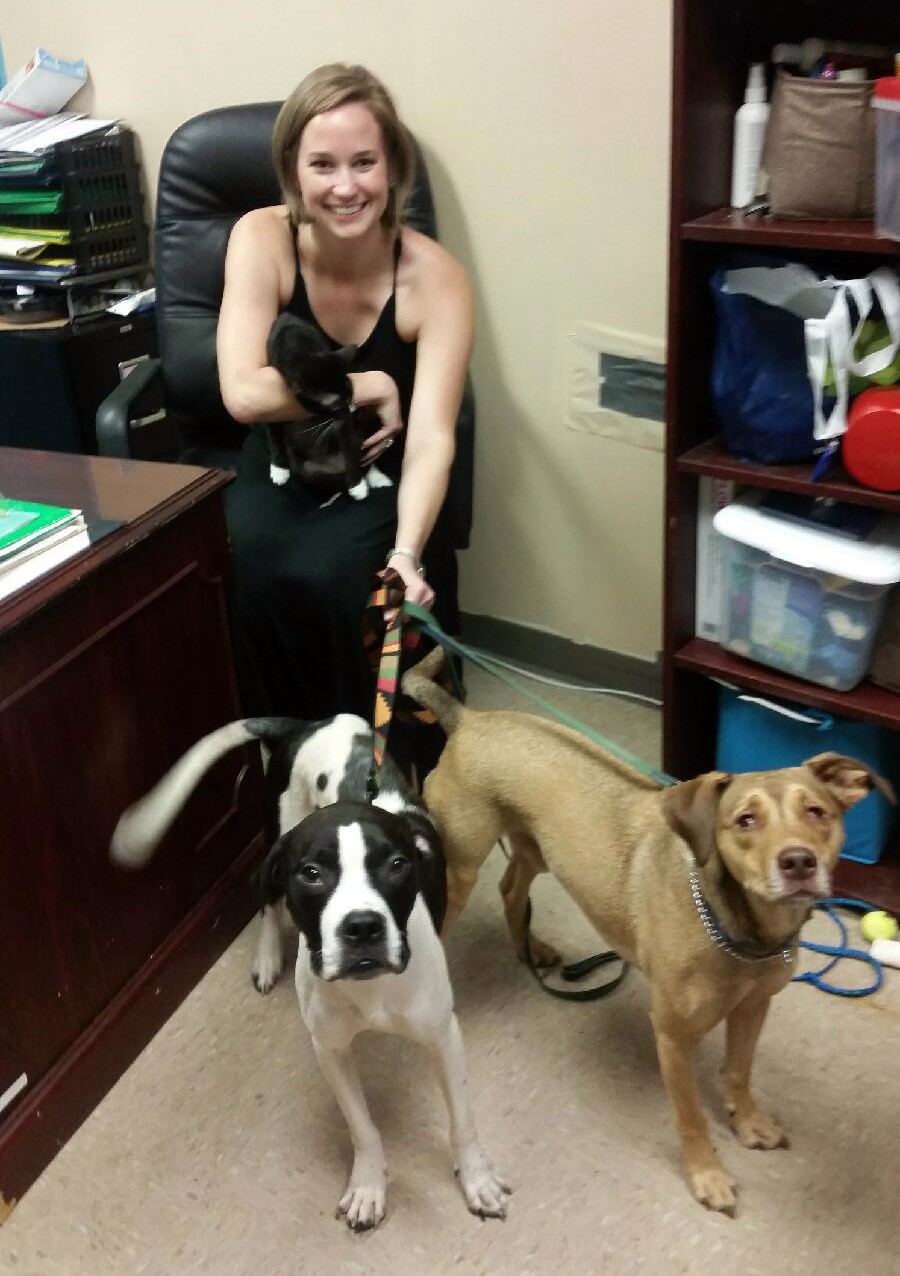 Lifeline Animal Project