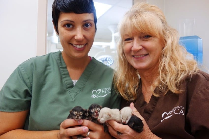 Sacramento SPCA