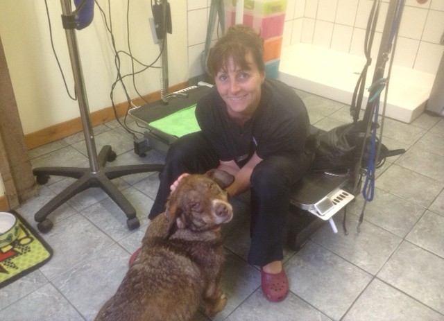 Rudozem Street Dog Rescue