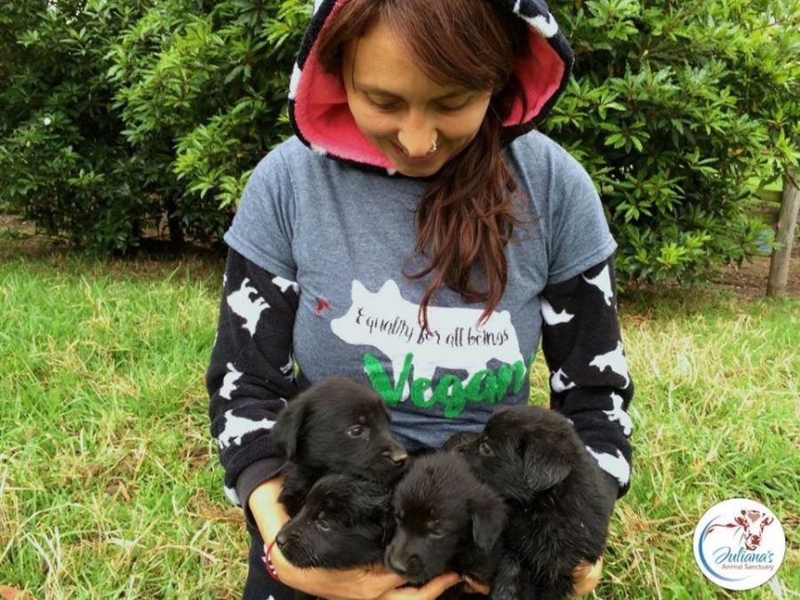 Juliana's Animal Sanctuary