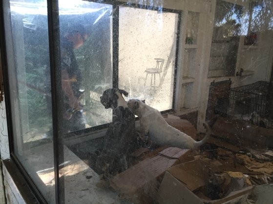 Riverside County Animal Services